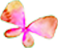ピンク色の蝶々
